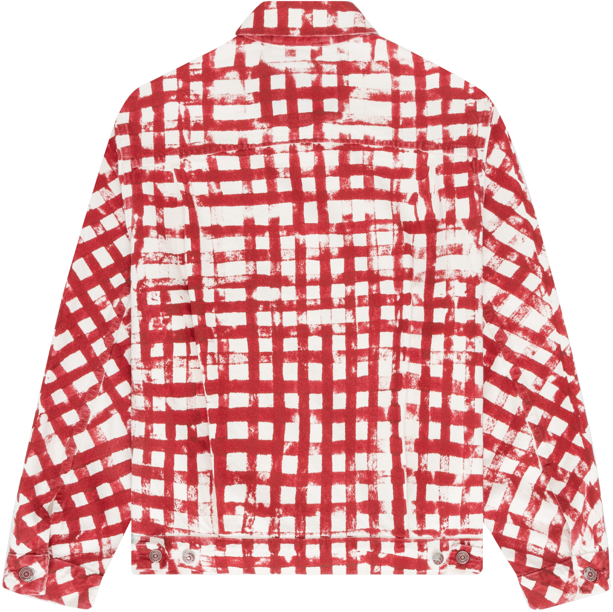 Hand Painted Picnic Plaid Trucker