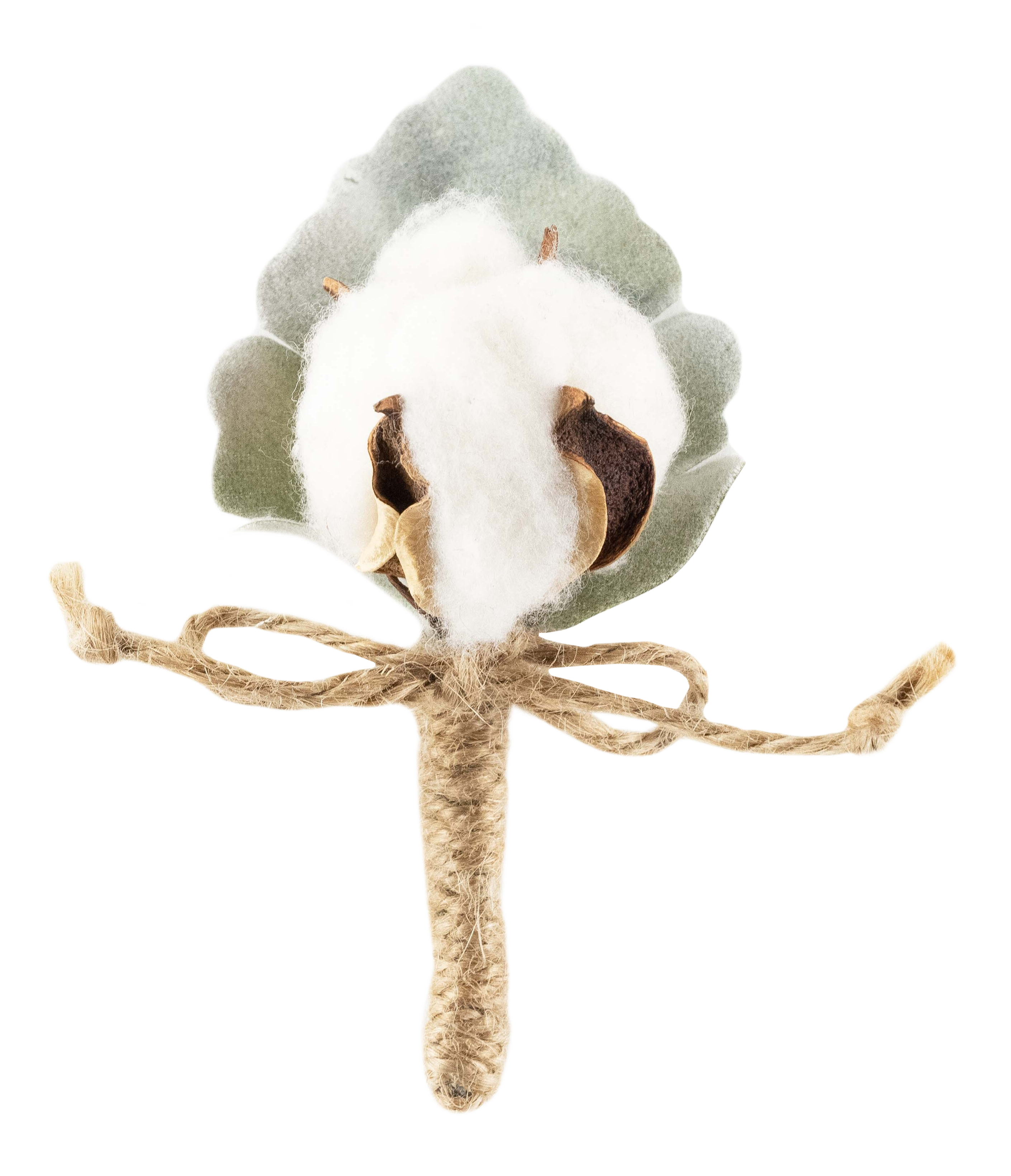 Cotton Boutonnière